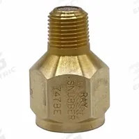 RAY Pressure Gauge Snubber: Brass, Filter, Brass NPT, 3,000 psi Max. Pressure, 0 Pistons, Oil/Water (MPN 747BE). Key specifications — Snubber Type: Filter; Connection Type: NPT; Brand: RAY; Material: Brass; Compatible Liquids and Gases: Oil.