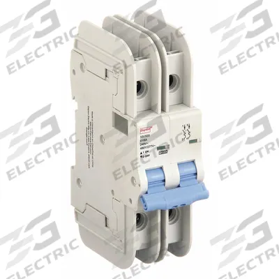 DAYTON IEC Miniature Circuit Breaker: 16 A Amps, 96V DC, 10kA at 480V AC, Lug - D-Curve, 2-Pole UL489 DIN Rail-Mount Miniature Circuit Breakers