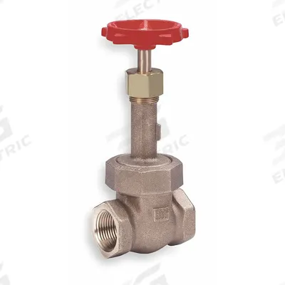 MILWAUKEE VALVE Gate Valve: 2 in, Bronze, Rising, FNPT x FNPT, 400 psi Max. Pressure (CWP) - Rising Stem Bronze General Purpose Gate Valves