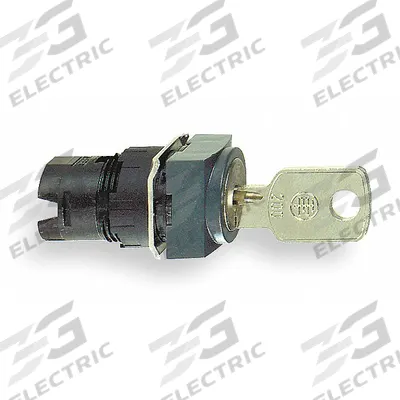 SCHNEIDER Keyed Selector Switch: 2 Position, 16 mm Panel Mounting Size - Panel-Mounted Key Switches without Contacts