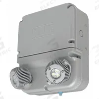 Emergency Light: 3 W Lamp Watt, 12 W Emergency Watt, 120V AC/277V AC, 2 Lamp Heads, Plastic, Surface (MPN DYN12). Key specifications — Input Voltage: 277V AC; Housing Material: Plastic; Mounting Type: Surface; Housing Color: Gray; Lighting Technology: LED; CA Title 20 Compliant: Yes; Environmental Rating: Damp Location Rated; IP Rating: Not Rated.