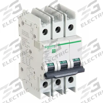 SCHNEIDER Miniature Circuit Breaker: 6 A Amps, 14kA at 120/240V AC, Screw Clamp - C-Curve, 3-Pole UL489 DIN Rail-Mount Miniature Circuit Breakers