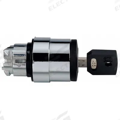 SCHNEIDER Keyed Selector Switch: 2 Position, 22 mm Panel Mounting Size - Panel-Mounted Key Switches without Contacts