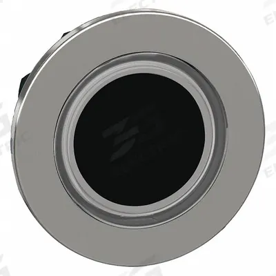 SCHNEIDER Flush Push Button: 30 mm Mounting Size, Metallic - Illuminated Flush-Mount Push-Button Operators
