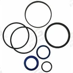 MAXIM Seal Kit: For 2 in Bore Dia, For 1 1/8 in Rod Dia, Mfr Part # 204500. Key specifications — attr1095747: 204500; attr1095757: Old Style TFE Piston Seal.