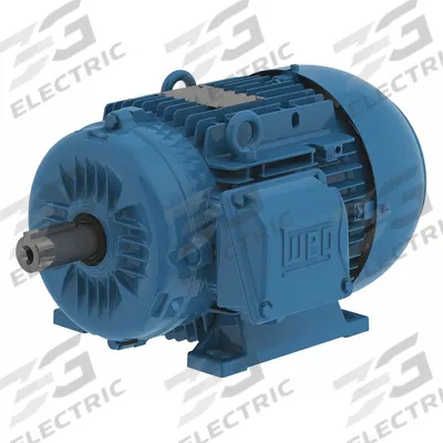 WEG Metric Motor: 4 hp, Rigid Base Mount, 100L Frame Size, Totally Enclosed Fan Cooled - Rigid Base 3-Phase IEC Metric General Purpose AC Motors