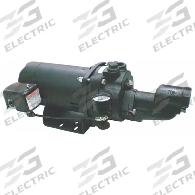 Dayton Shallow Well Jet Pump: 3/4 hp HP, Single Phase, 115/230V AC, Ejector Included - Shallow-Well Jet Pumps