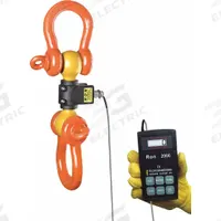 RON CRANE SCALES Crane Dynamometer: 40,000 lb Wt Capacity - Imperial, +/-0.1% Accuracy, 10 kg/20 lb (MPN RON 2000-S20CC). Key specifications — Readability: 20 lb; Standards: IP65; Indicator Attachment: Corded Remote; Includes: Load Cell, Handheld Wired Remote, Carrying Case, Instruction Manual and Calibration Certificate; Housing Material: Steel; Manufacturer Part Number: RON 2000-S20CC; Brand: RON CRANE SCALES; Weighing Units: lb.