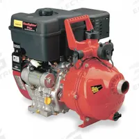 Fire Pump: 10 hp, 1 1/2 in Intake and Disch, NPTM Intake (MPN 5210BE/NPT-0). Key specifications — Discharge Type: NPTM; Intake Type: NPTM; Brand: DAVEY.