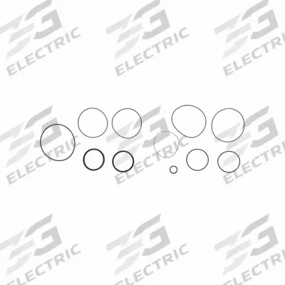 FILL-RITE Viton Seal Kit: Viton Seal Kit, Fill-Rite, (9) O-Rings/Square Seal (MPN SK15VIT-V06) - Pumps