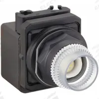 DAYTON Extended Push Button: Clear, 30 mm Mounting Size, Non-Metallic, Momentary (MPN 30G373). Key specifications — Brand: DAYTON; Action: Momentary; Series: Dayton; Push Button Material Type: Non-Metallic.