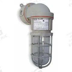 KILLARK Incandescent Light Fixture: 2,087 lm, T2B Temp Code, 150 W, 120/277V AC, Bracket Mount (MPN NV2IG15BSG). Key specifications — Voltage: 120/277V AC; Temperature Code: T2B; Hazardous Location Rating: Class I, Div 2, Group A, B, C, D; Emergency Battery Backup: No; Brand: KILLARK.