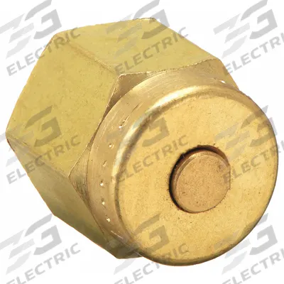 PARKER Compression Fitting Cap: 1/4 in OD Size, Compression, Brass - Double-Ferrule Brass Compression Fittings
