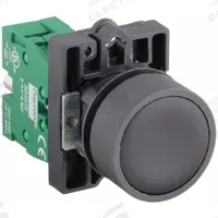 DAYTON Flush Push Button Operator: Non-Illuminated, Flush Profile, Non-Metallic, 22 mm, 1NO (MPN 30G224). Key specifications — Brand: DAYTON; Action: Momentary; Series: Dayton; Terminal Connection: Pressure Plate; Push Button Material Type: Non-Metallic.