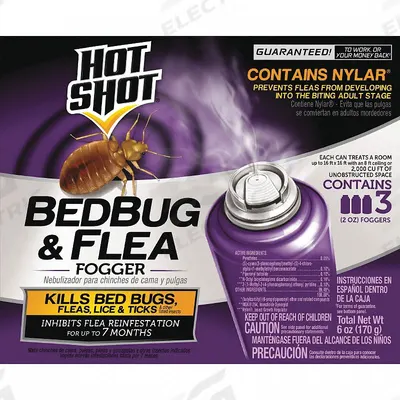 HOT SHOT Insect Killer: For Use On Crawling Insects, Aerosol Spray Can, 2 oz Container Size - Insecticides for Crawling Insects