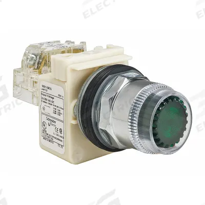 SCHNEIDER Illuminated Push Button: Illuminated, Flush Profile, Non-Metallic, 30 mm - Illuminated Flush-Mount Push Buttons