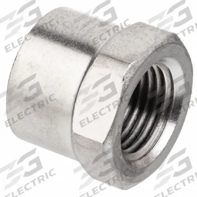 APPROVED VENDOR Cap: Hex Drive Cap, 1/2 in, NPTF Threaded, Class 1000, 1,000 psi @ 72°F - Nickel-Plated Threaded High-Pressure Pipe Fittings