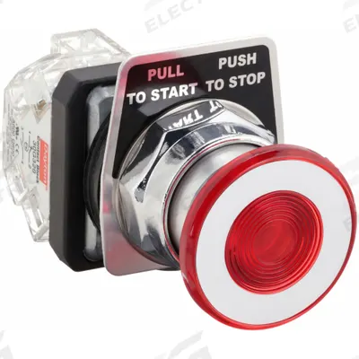 Dayton Mushroom Head Push Button: Non-Illuminated, Mushroom Head Profile, Metallic - Mushroom-Head Push Buttons