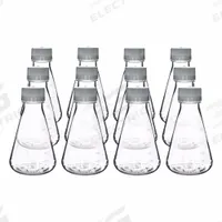APPROVED VENDOR Erlenmeyer Flask: Erlenmeyer, PETG, 500 mL, 17.6 fl oz, Sterile (MPN CH5233PK12). Key specifications — attr1370443: +/-0.20 mL; attr1370476: APPROVED VENDOR; attr1370481: Yes; attr1370482: Yes.