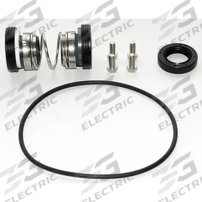Dayton Pump Repair Kit: Mfr Part # PPHP51000222G - Seal Kits for Dewatering & Wastewater Pumps