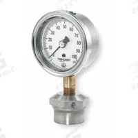 ASHCROFT Pressure Gauge with Diaphragm Seal: 0 psi to 100 psi, 1009/310-315, 2 1/2 in Dial, Glycerin (MPN 251009AW02L/310SSLXCG100). Key specifications — Brand: ASHCROFT; Gauge Case Liquid: None; Seal Fill Liquid: Glycerin; Gauge Case Material: 304 Stainless Steel; Seal Lower Housing Material: 316L Stainless Steel; Accuracy: ±1.50%.