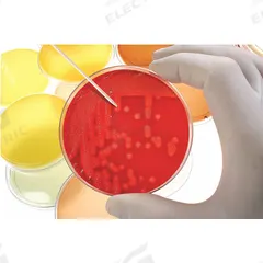 Tube Rack: 10 in Overall Wd, 4 1/4 in Overall Ht, 27 1/8 in Overall Lg, Polypropylene, White (MPN 120112). Key specifications — Material: Polypropylene; Mounting Location: Benchtop; Color: White; Product Type: Test Tube Rack; Total Holding Capacity: (432) Wells; Brand: HEATHROW SCIENTIFIC.