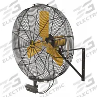 BIG ASS FANS Mounted Fan: 30 in Blade Dia, 120V AC, 1/3 hp Motor HP, Wall Mount, Non-Oscillating (MPN F-AE1-3001L13S34V56). Key specifications — Brand: BIG ASS FANS; Voltage: 120V AC; Number of Speeds: Variable; Fan Mounting Location: Wall; Oscillation: Non-Oscillating; Mounting Type: Bracket.