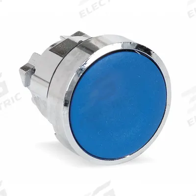 SCHNEIDER Flush Push Button: Blue, 22 mm Mounting Size, Metallic - Flush-Mount & Recessed Push-Button Operators