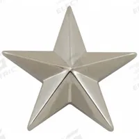 HEROS PRIDE Metal Rank Insignia: Star, 5/8 in, Silver, Metal, Clutch Pin, Rank Insignia, 1 PR (MPN 4490N). Key specifications — attr1074238: Clutch Pin; attr188498: 5/8 in; attr188499: Silver; attr188500: Metal; attr188503: Star; attr193746: HEROS PRIDE.