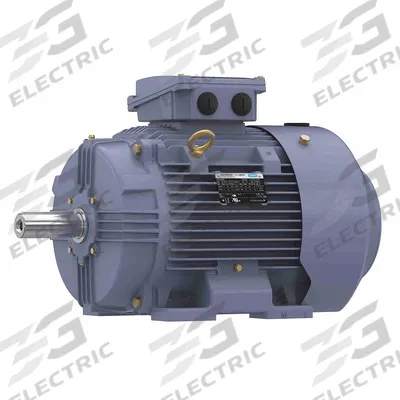 MARATHON MOTORS Metric Motor: 25 hp, Rigid Base Mount, 160L Frame Size - Rigid Base 3-Phase IEC Metric General Purpose AC Motors