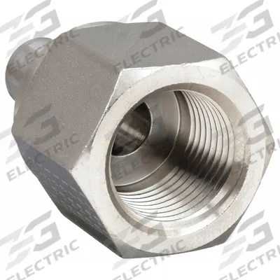 PARKER Compression Fitting Adapter: 1/4 in OD x 1/8 in Pipe Fitting Size - Double-Ferrule Stainless Steel Fittings