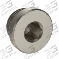 LEGRIS Plug: Hex Drive Cored Plug, 1/2 in, BSPP Threaded, Nickel-Plated Brass, 870 psi, 9/16 in Lg (MPN 0919 00 21). Key specifications — Brand: LEGRIS; Maximum Operating Pressure: 870 psi.