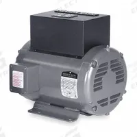 PHASE-A-MATIC Phase Converter: Rotary, Single, Three, 230V AC, 125 A Input Current (MPN R-20). Key specifications — Output Phase AC: Three; Brand: PHASE-A-MATIC; Input Phase AC: Single; Operating Voltage: 230V AC.