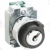 DAYTON Selector Switch: 2 Position, 22 mm Panel Mounting Size, 1NO (MPN 30G259). Key specifications — Manufacturer Part Number: 30G259; Brand: DAYTON; Switch Action: Maintained/Momentary; Contact Form: 1NO; Key Removal Position: Left.