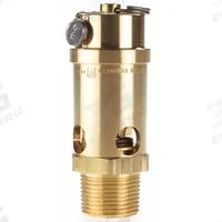 CONRADER Safety Valve: Soft Seat, 1 in (M)NPT Inlet (In.), 100 psi Preset Setting (PSI), Brass (MPN SRV765-1-100). Key specifications — attr291993: Soft Seat; attr291998: Brass; attr292007: Silicone; attr292009: Brass; attr294753: CONRADER.