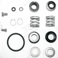 DAYTON Shaft Seal Kit: Mfr Part # 42X495. Key specifications — Includes: RdHd Screw; Product Type: Shaft Seal Kit; Manufacturer Part Number: 42X495.