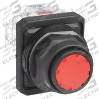 DAYTON Flush Push Button Operator: Non-Illuminated, Flush Profile, Non-Metallic, 30 mm, 1NO/1NC (MPN 30G440). Key specifications — Brand: DAYTON; Action: Momentary; Series: Dayton; Terminal Connection: Pressure Plate; Push Button Material Type: Non-Metallic.