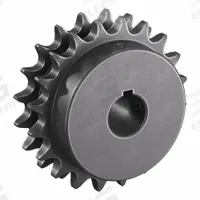 TRITAN Roller Chain Sprocket: 50-2, For 5/8 in Chain Pitch, 1 in Bore Dia, 20 Teeth, Steel (MPN D50BS20H X 1). Key specifications — attr85386: TRITAN.