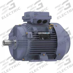 MARATHON MOTORS Metric Motor: 7 1/2 hp, Rigid Base Mount, 132M Frame Size, 230/460V AC, 1180 RPM (MPN TCA5P53AE211GAA009). Key specifications — Brand: MARATHON MOTORS; Nameplate Voltage @ 60 Hz: 230/460V AC; Full Load Amps @ 60 Hz: 20.8/10.4 A; Nameplate RPM @ 60 Hz: 1180 RPM; Motor Enclosure: TEFC.