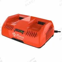 ECHO Charger: For 56V DC Battery Volt, Rapid, Simultaneous, 8 Ah Battery Capacity Charged in 1-Hour (MPN LC-56V5A2AB). Key specifications — Charger Input Voltage: 120V AC; Charging Port Voltage: (2) 56V; For Battery Voltage: 56V DC.