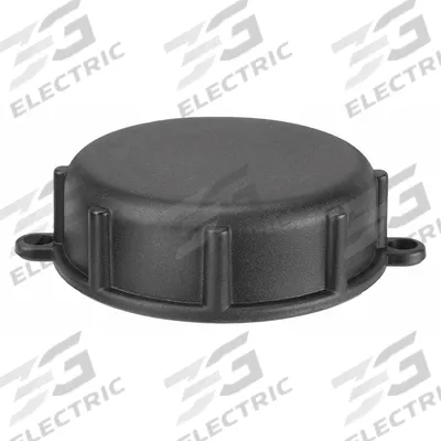 APPROVED VENDOR Dust Cap: 2 in, 2 in F NPT Inlet, Plastic, GMIII2DNPTCAPB - Caps, Covers & Plugs for IBC Totes