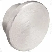 PRO WELD Stop Pin: For 1 3/8 in Stud Lg, 1/8 in Overall Lg, Steel (MPN 033-779). Key specifications — Brand: PRO WELD; Material: Steel; Manufacturer Part Number: 033-779.