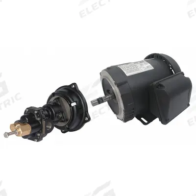 Dayton Rotary Gear Pump: Direct Drive, 1 1/2 hp Horsepower, 230/460V AC, Cast Iron Body - Direct-Drive Rotary Gear Pumps