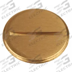 RACO Flush Replacement Plug: Round, Brass, 6284/6288, 6226. Key specifications — Brand: RACO; Accessory Type: Flush Slotted Plug; Compatible with Manufacturer Model Number: 6288; Manufacturer Part Number: 6226; Material: Brass; Shape: Round.