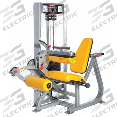 PROMAXIMA Dual Leg Extension/Curl: Steel, Powder Coated, Gray, Orange, Vinyl - Hip & Leg Machines
