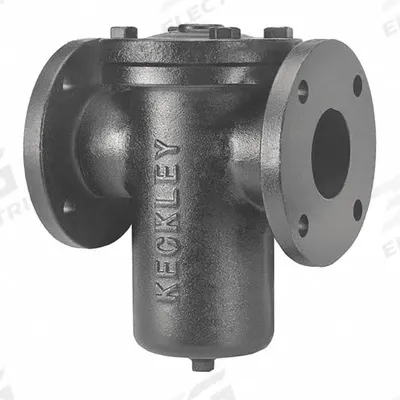KECKLEY Basket Strainer: Cast Iron, 0.125 in Screen Size, Single, Flanged, 1 1/2 in - Cast Iron Basket Strainers