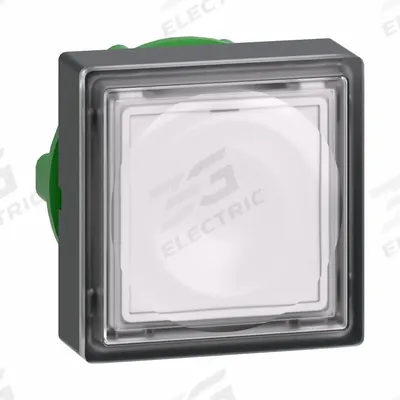 SCHNEIDER Flush Push Button: 22 mm Mounting Size, Non-Metallic - Illuminated Flush-Mount Push-Button Operators