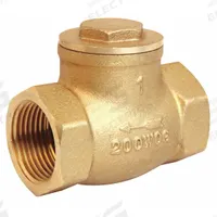 APPROVED VENDOR Swing Check Valve: Swing, Inline Valve Body, 1 1/2 in Pipe Size, FNPT x FNPT, Brass (MPN 10F326). Key specifications — Brand: APPROVED VENDOR.