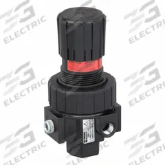 PARKER Compressed Air Regulator: Zinc, 1/4 in NPT, 53 cfm, 2 psi to 125 psi, 250 psi Max Op Pressure (MPN 06R113AC). Key specifications — attr111664: No; attr111400: 06R; attr111627: PARKER.