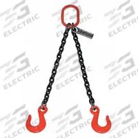 LIFT-ALL Double Leg Chain Sling: 7/32 in Chain Trade Size, 100 Chain Grade, Sling Hook, Alloy Steel (MPN 732DOSW10X5). Key specifications — attr994064: LIFT-ALL.